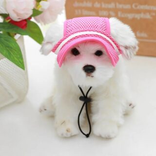 Casquettes Honden Sportief Met Visiere